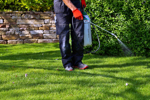 Best Residential Pest Control  in Wilder, ID